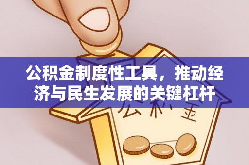麟游公积金制度性工具，推动经济与民生发展的关键杠杆