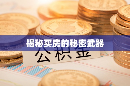 麟游揭秘买房的秘密武器